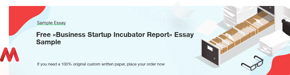 Free Custom «Business Startup Incubator Report» Essay Sample